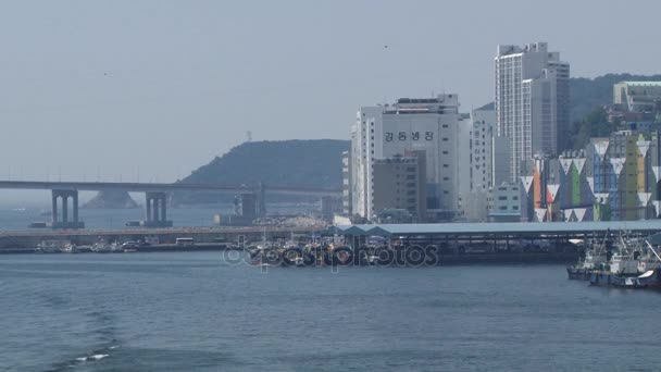 View to the city and fishing port of Busan, Korea. — Stock Video