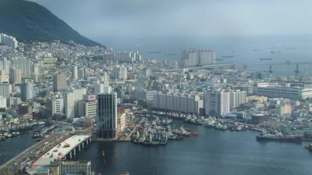 Vista sulla città e sul porto di Busan, Corea . — Video Stock