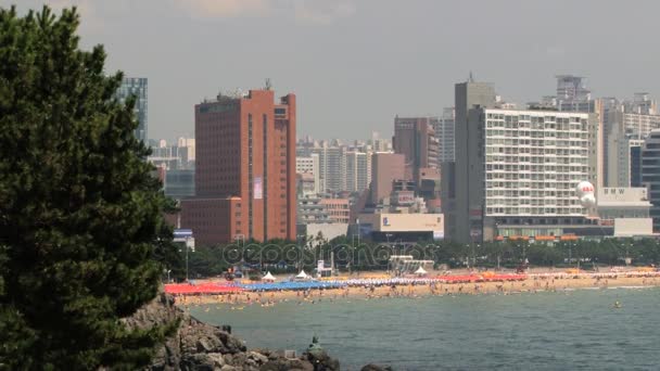 Visa till sandstranden Haeundae beach i Busan, Korea. — Stockvideo