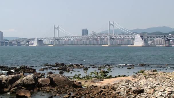 Visa till Gwangan bridge i Busan, Korea. — Stockvideo