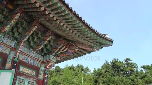 Exterior detail of the colorful painted roof of the pavilion at Haedong Yonggung Buddhist temple in Busan, Korea. — Stock Video