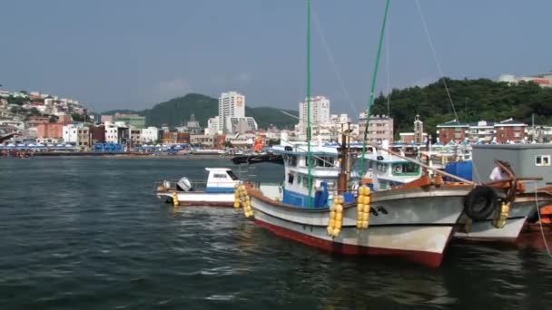 View to the fishermen boats in the harbor of Tongyeong, Korea . — стоковое видео