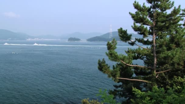 Vista a la bahía en Tongyeong, Corea . — Vídeos de Stock