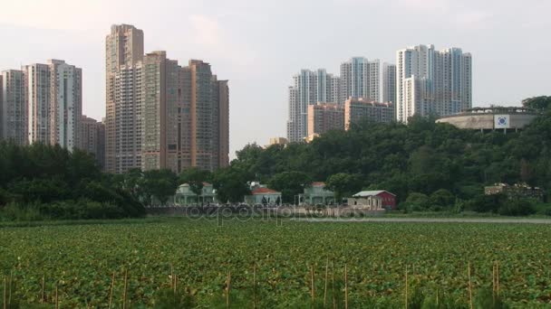 Zobacz do stylu kolonialnym wieś Taipa z wysokiej nowoczesne budynki w tle w Makau, Chiny. — Wideo stockowe