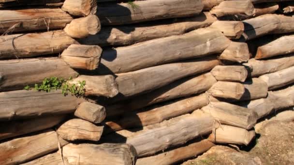 Buitenkant van de houten wand-replica van de IJzertijd versterkte nederzetting in Biskupin, Polen. — Stockvideo