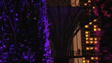 Renkli gece ışık gösterisi, Singapore, Singapur için Bay tarafından bahçeleri için görüntüleyin.