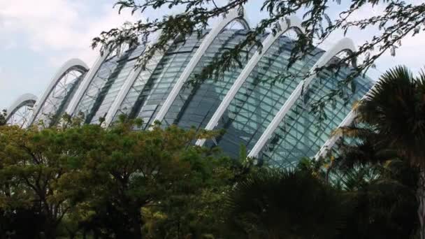 Außenseite des Gebäudes in den Gärten an der Bucht in singapore, singapore. — Stockvideo