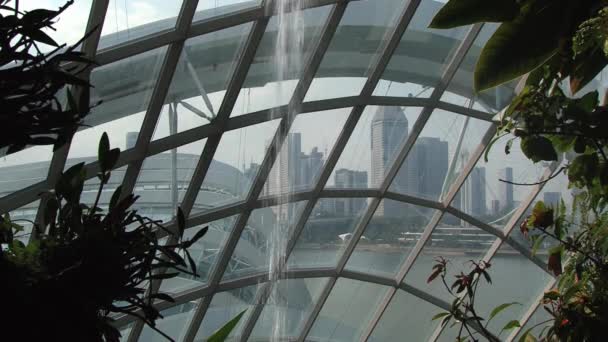 View the skyline of the city though the glass and metal wall of the Gardens by the Bay in Singapore, Singapore. — Stock Video