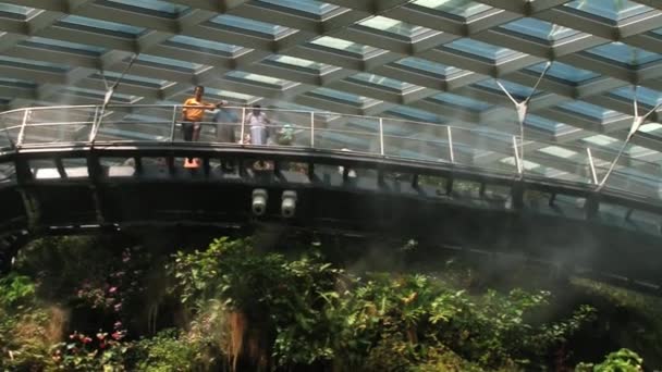 People visit Gardens by the Bay in Singapore, Singapore. — Stock Video