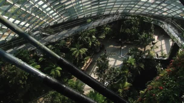 La gente visita Gardens by the Bay en Singapur, Singapur . — Vídeo de stock