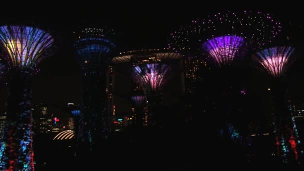 Vue sur le spectacle de lumière nocturne coloré au Gardens by the Bay à Singapour, Singapour . — Video