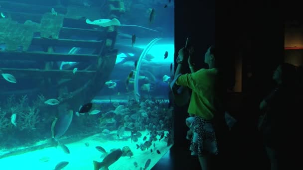 Ludzie odwiedzają akwarium Singapore w Singapur, Singapore. — Wideo stockowe