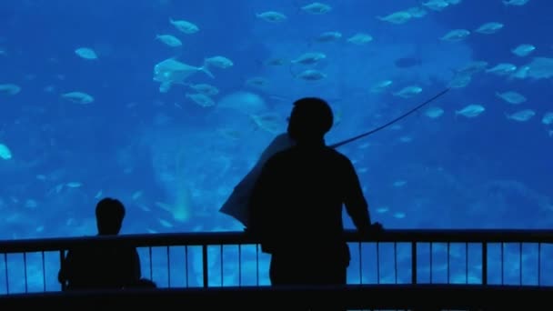 Люди дивляться риби в Сінгапурі акваріумі напрямку Сінгапур, Сінгапур. — стокове відео