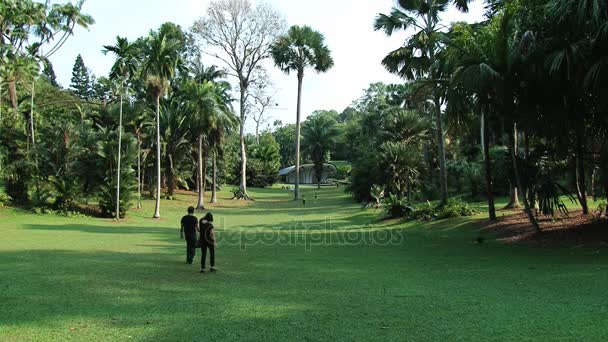 Les gens marchent près de la pelouse dans les jardins botaniques de Singapour à Singapour, Singapour . — Video