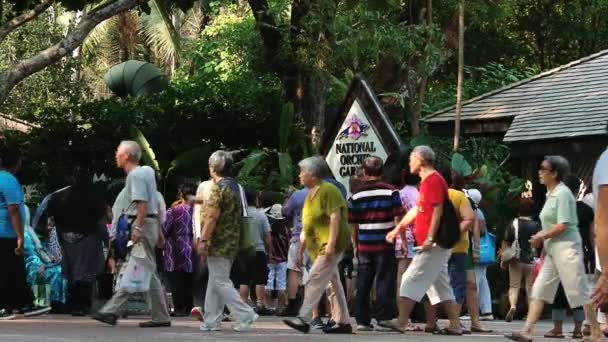 Turistas visitam Jardins Nacionais de Orquídeas em Singapura, Singapura . — Vídeo de Stock