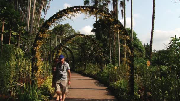 Mensen bezoeken nationale orchidee tuinen in Singapore, Singapore. — Stockvideo