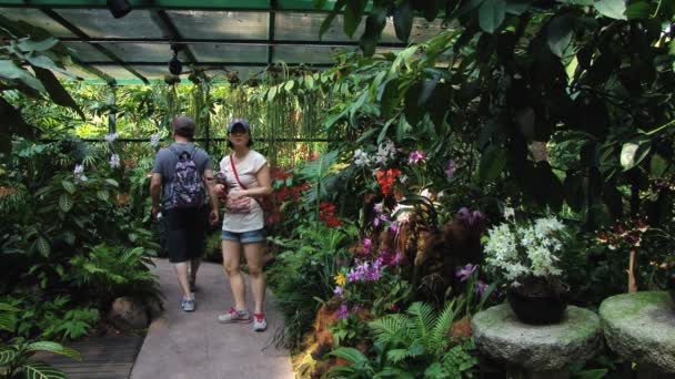 Toeristen bezoeken nationale orchidee tuinen in Singapore, Singapore. — Stockvideo