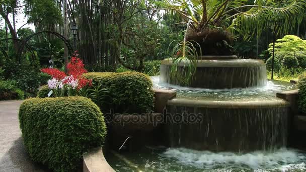 Los turistas se relajan en la fuente en los Jardines Nacionales de Orquídeas en Singapur, Singapur . — Vídeo de stock