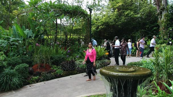 亚洲游客访问新加坡，新加坡的国家兰花花园. — 图库视频影像