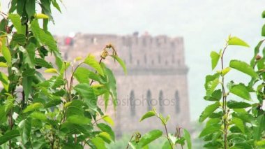 Mutianyu, Çin Seddi turist ziyaret.