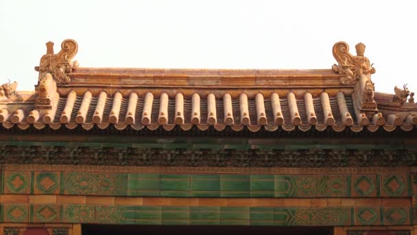 Turystów przejść zwiedzanie pałacu Gugun w Pekinie. — Wideo stockowe