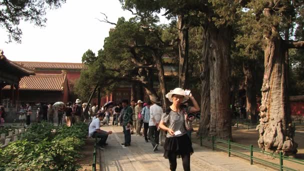 La gente visita el palacio Gugun en Beijing, China . — Vídeos de Stock