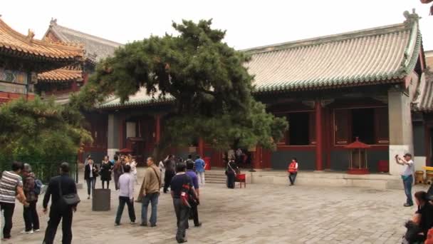 La gente camina por el territorio del templo Yonghe en Beijing, China . — Vídeo de stock