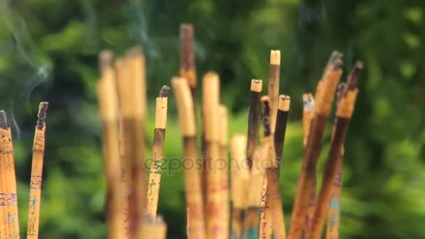 Burning incense at the Big Wild Goose pagoda in Xian, China. — Stock Video