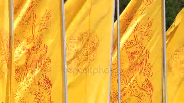 Drapeaux jaunes à l'entrée de la tombe de Qin Shi Huang à Xian, Chine . — Video