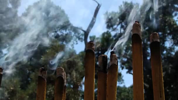 Ладан дыма с деревьями и голубое небо на заднем плане в храме рядом с Цинь Ши Хуан гробницы в Сиань, Китай. In / out of focus . — стоковое видео