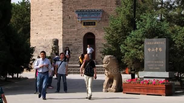 Xian, Çin için büyük vahşi kaz pagodası ziyaret. — Stok video