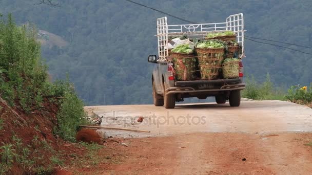 Pick-up se zeleninou odjíždí z plantáže, Chiang Mai, Thajsko. — Stock video