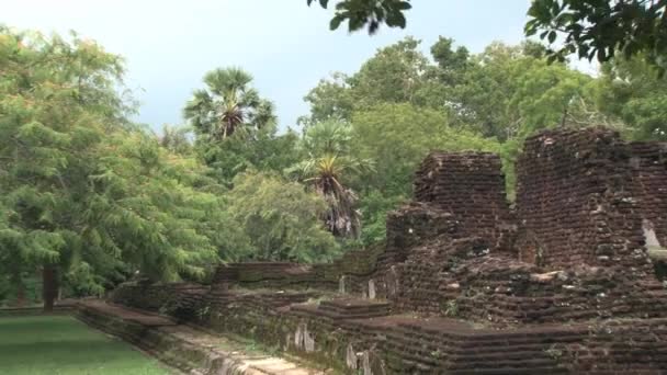 Pohled do ruiny starověkého města a stromy v Polonnaruwa, Srí Lanka. — Stock video