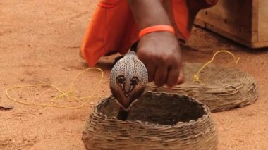 Yılan oynatan kimse Sigiriya, Sri Lanka sepette oturup kobra için flüt çalış.