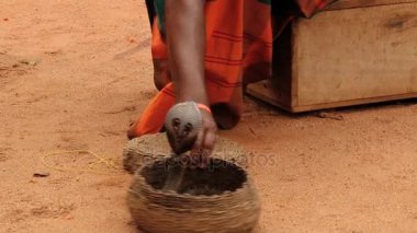 Yılan oynatan kimse Sigiriya, Sri Lanka sepette oturup kobra için flüt çalış.