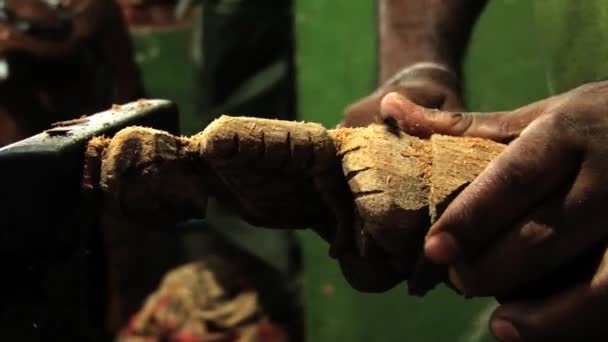 Man produceert traditionele houten souvenir in een workshop in Polonnaruwa, Sri Lanka. — Stockvideo