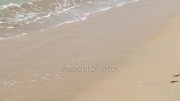 Vague arrive à la plage de sable fin à Trincomalee, Sri Lanka . — Video