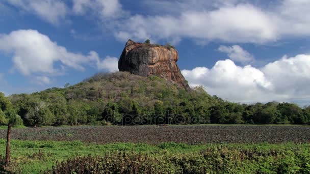 Veduta della fortezza rocciosa di Sigiriya nello Sri Lanka . — Video Stock