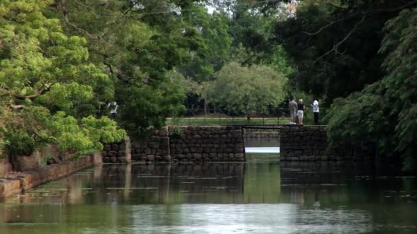 People enjoy the view to the ancient pond in Sigiriya rock fortress in Sigiryia, Sri Lanka. — Stock Video