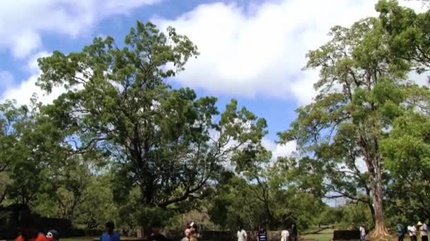 La gente visita las ruinas de la antigua fortaleza rocosa de Sigiriya en Sigiriya, Sri Lanka . — Vídeo de stock