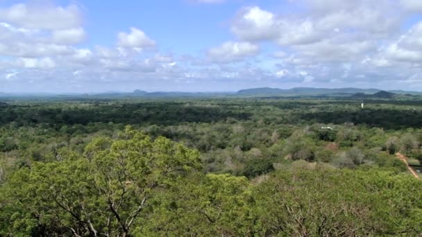 Visa till djungeln från Sigiriya rock fästning i Sri Lanka. — Stockvideo