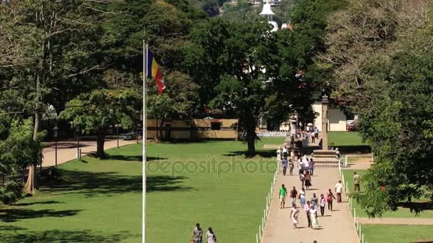 As pessoas caminham pelo território do Templo dos Dentes (Dalada Maligava) em Kandy, Sri Lanka — Vídeo de Stock