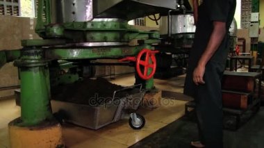 Adam eski çay kesme makinesi ile Nuwara Eliya, Sri Lanka çay fabrikasında çalışıyor.