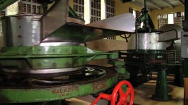 Kadın eski çay kesme makinesi ile Nuwara Eliya, Sri Lanka çay fabrikasında çalışıyor.