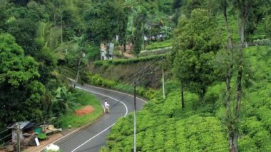 İnsanlar Nuwara Eliya, Sri Lanka çay tarlaları arasında yolun kenarında yürüyüş.