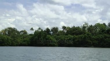 Sri Lanka hareketli turistik tekneden Madu Ganga nehir banka ve mavi gökyüzü bulutlu, tropikal orman için görüntüleyin.