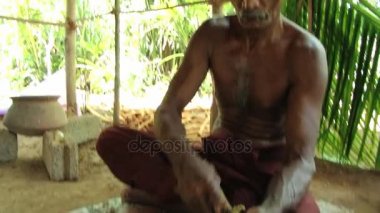 Adam geleneksel tarçın üretim içinde Madu Ganga, Sri Lanka gösterir.