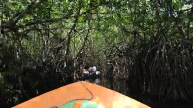 İnsanlar tekne turu Madu Ganga nehrin içinde Madu Ganga, Sri Lanka, mangrov orman tarafından tadını çıkarın..