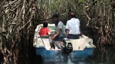 İnsanlar tekne turu Madu Ganga nehrin içinde Madu Ganga, Sri Lanka, mangrov orman tarafından tadını çıkarın..