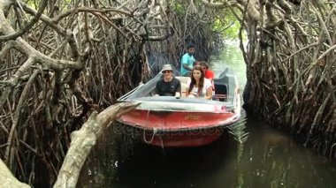 İnsanlar tekne turu Madu Ganga nehrin içinde Madu Ganga, Sri Lanka, mangrov orman tarafından tadını çıkarın..